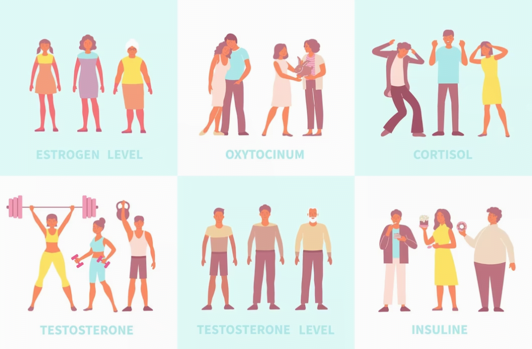 How to Increase your testosterone levels naturally and effectively